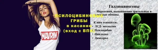 apvp Коряжма