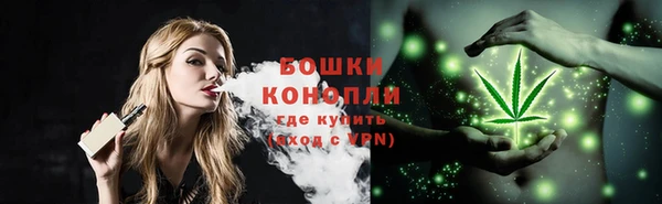 дмт Корсаков