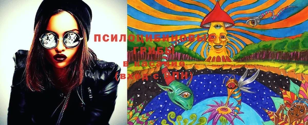apvp Коряжма