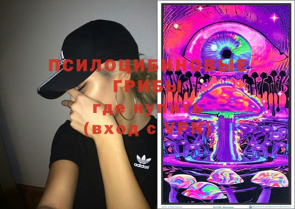 дмт Корсаков