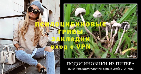 apvp Коряжма